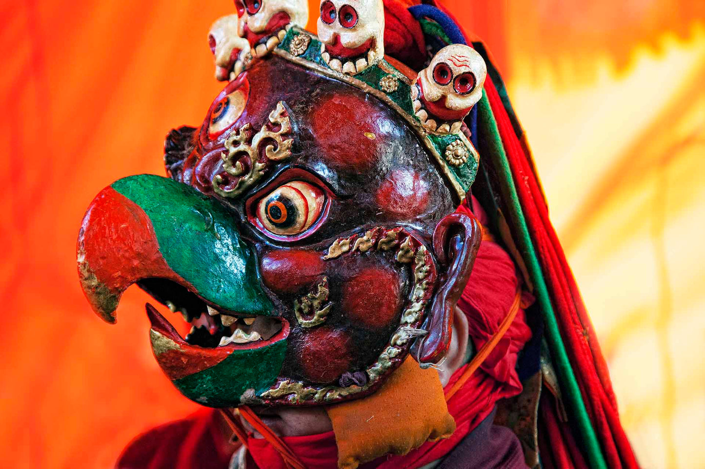 Drichhu, the Parrot