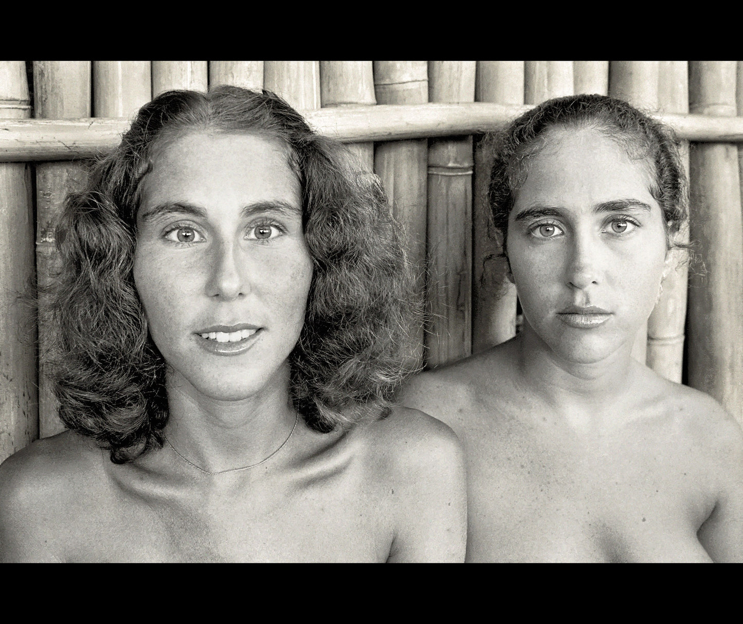 Teri and Debi Green, 1976 - Framed Print