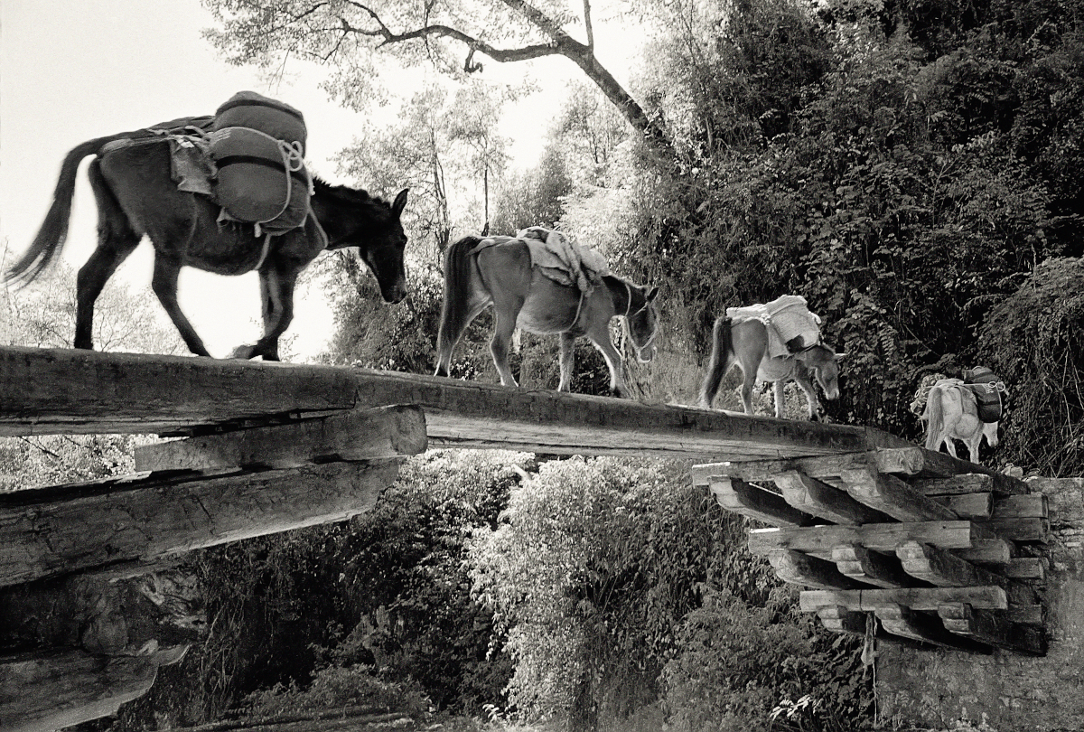 Zham Danang Chu bridge, Gasa, 2006