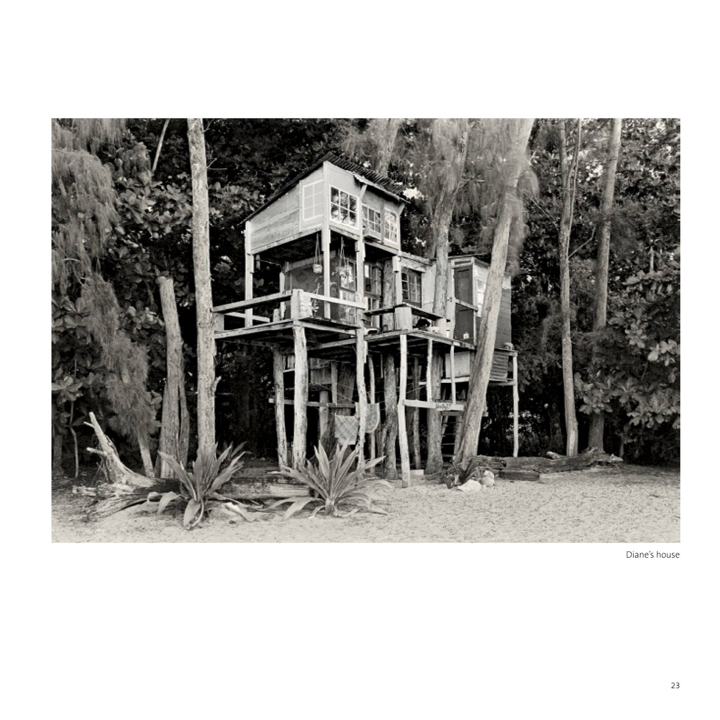 Taylor Camp Book