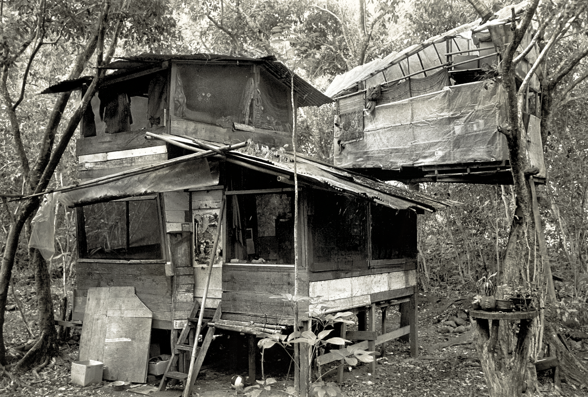 John and Marie's House with Buffalo Bill's loft, 1977