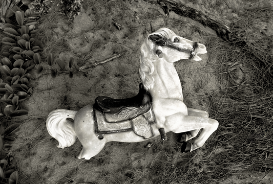 Wonderhorse, 1976