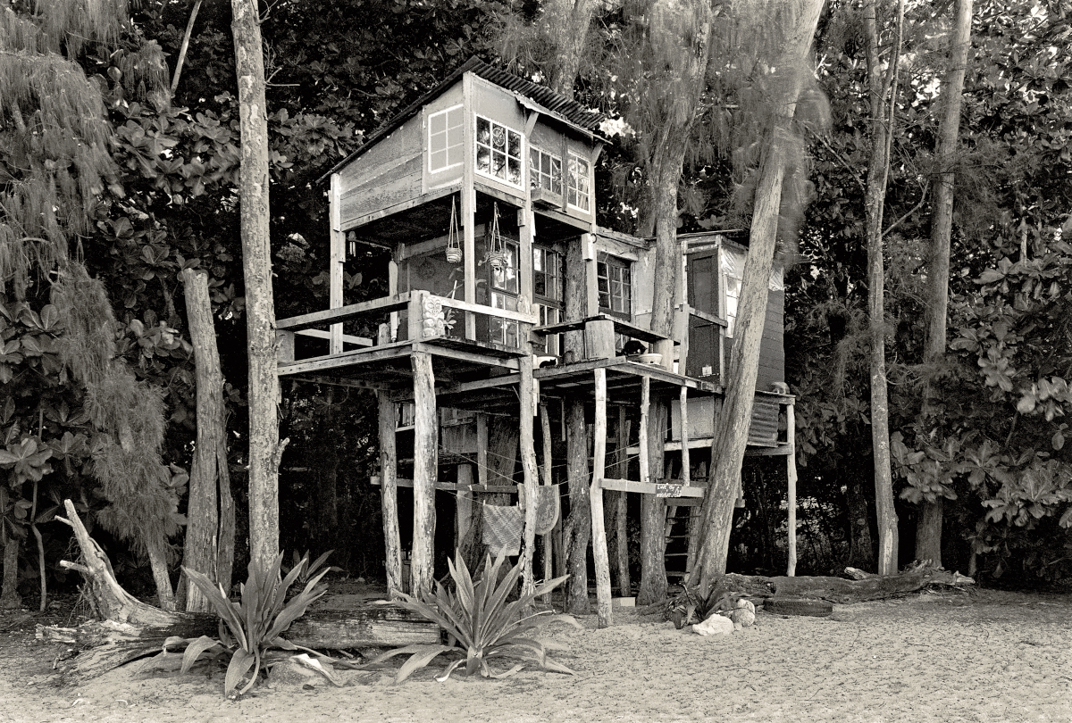 Diane's House, 1976