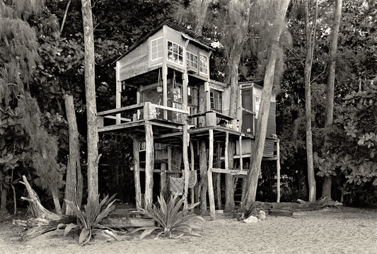Diane's House, 1976
