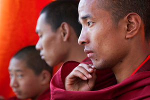 Monk Understudies