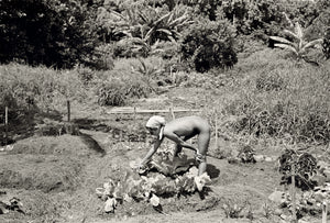 Debi in the Garden, 1976