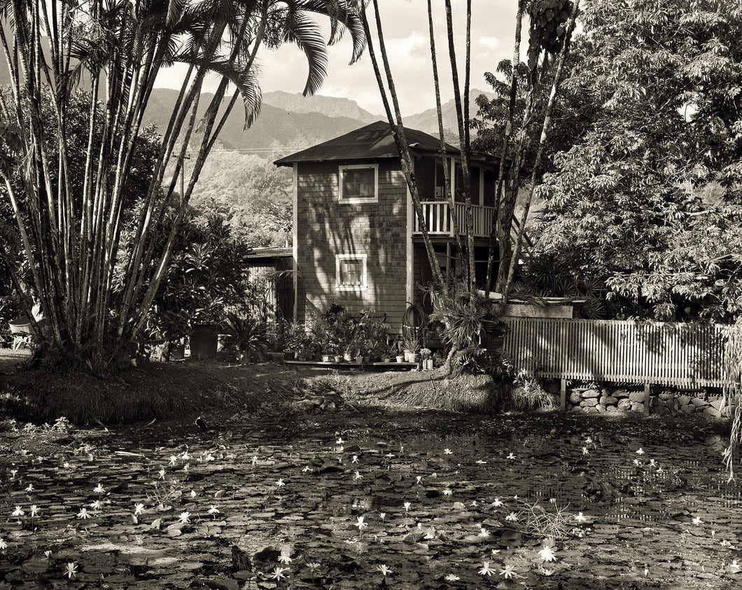 Tasaka Lily Pond and House, 1976