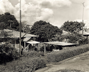 Kilauea Camp Road, 1976