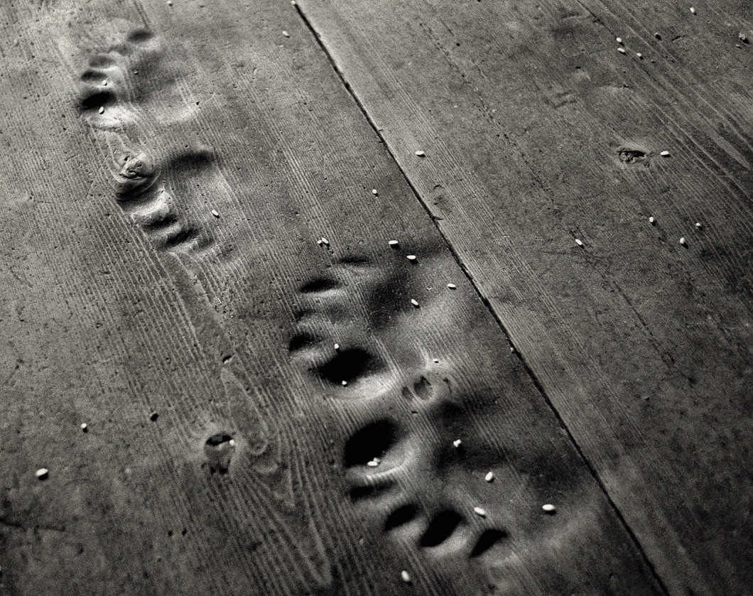 Yogini and Yogi prostration footprints, Chozo Lhakang, Lunana, 2003